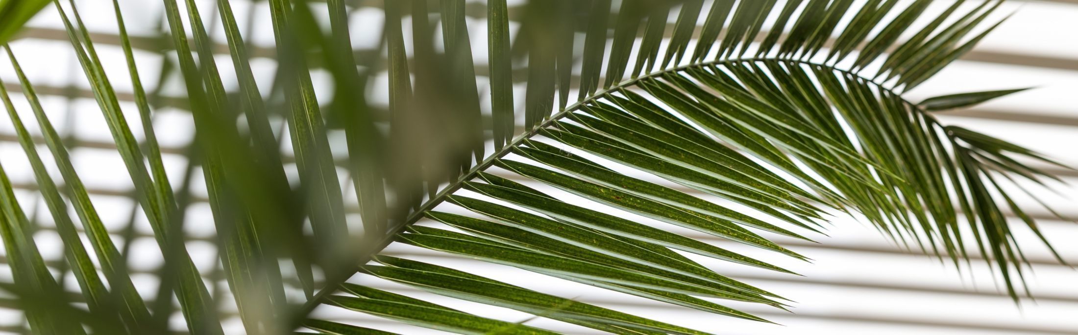 The Deck Hotel by HappyCulture - Details