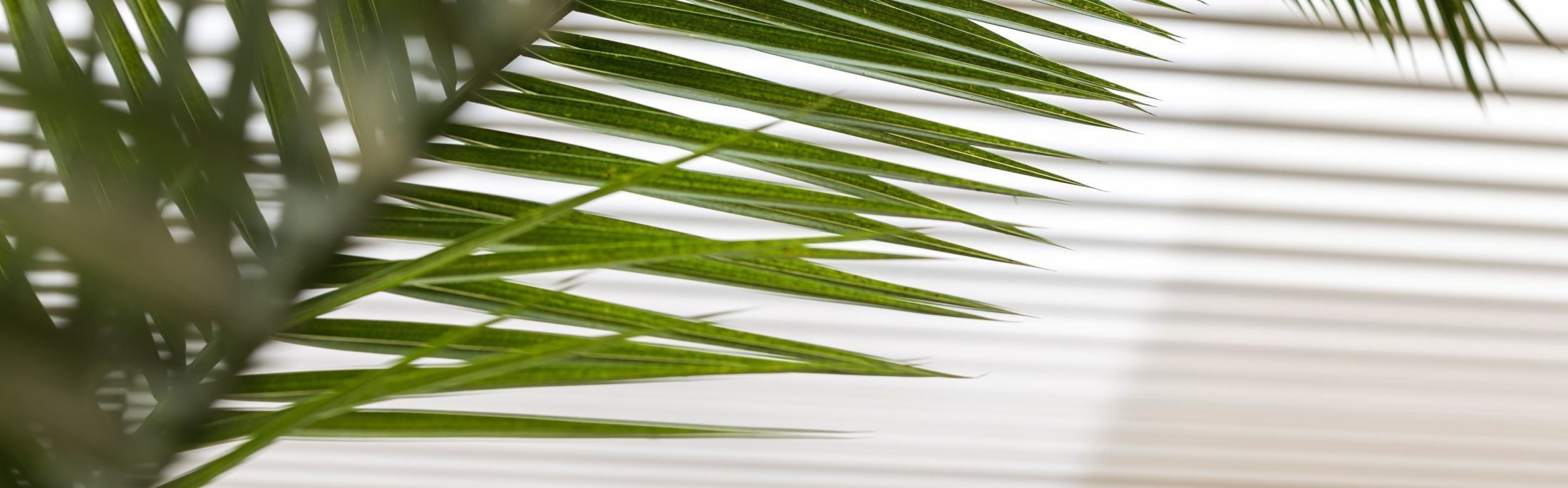 The Deck Hotel by HappyCulture - Detalles